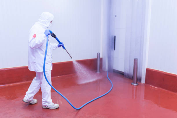 Best Concrete Surface Cleaning in Dubuque, IA